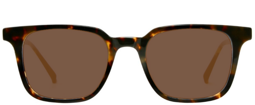 Tracy - Sunglasses